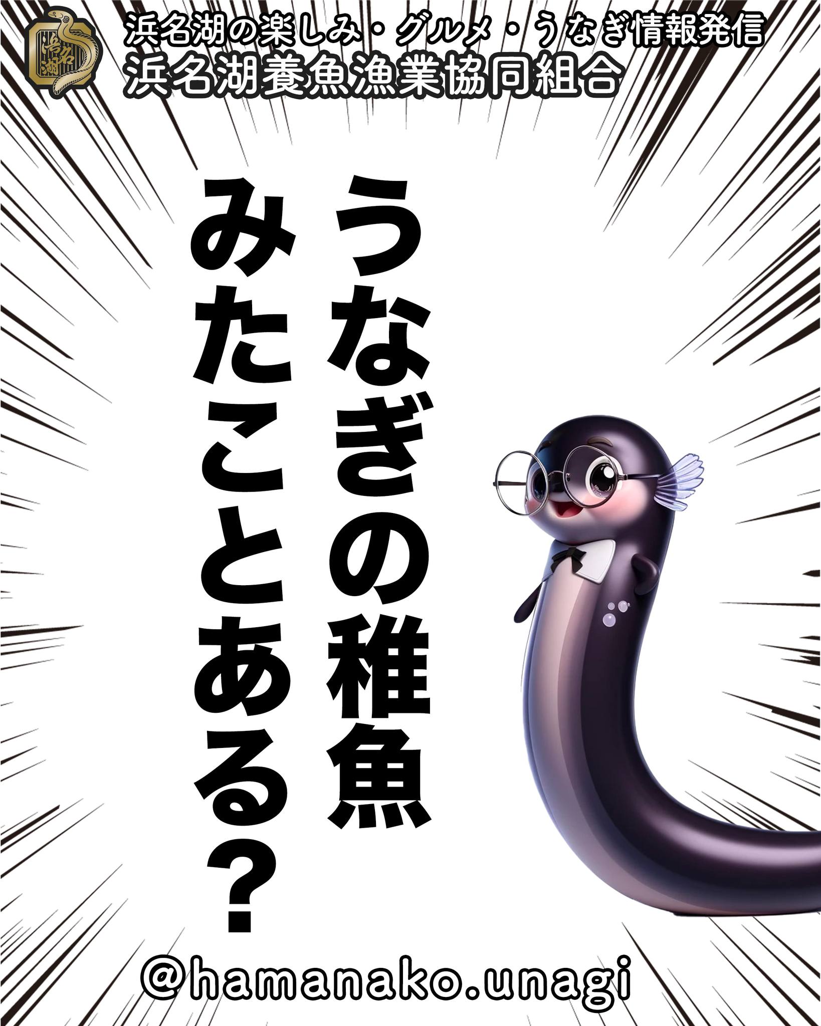 突然だけど・・・
うなぎの稚魚ってみたことある？

これ、リアルで見たことあったら
すごいです。

うなぎの稚魚は

　「しらすうなぎ」

って言われていて
ぱっと見、生しらす！

まぁシラスなんですが
よくみると、ちゃんとうなぎなんです。

すごいですよね！

目のところだけ
くろ〜くなって
ちょっとかわいいかも

シラスウナギは、次回アップしますねww

~~~~~~~~~~~~~~~⛩️~~~~
浜名湖を中心に、グルメ、文化
お店など浜名湖の観光情報を
みなさまにお届けしています。

参考になったら、
面白いなぁと感じたら

いいね！&フォローを
お願いいたします。

浜名湖養魚漁業組合
@hamanako.unagi

〜〜〜〜〜〜〜〜〜〜〜〜〜

#浜名湖養魚漁業組合
#浜名湖観光
#浜松観光 
#浜名湖うなぎ 
#うなぎの稚魚
#シラスウナギ 
#メッコ