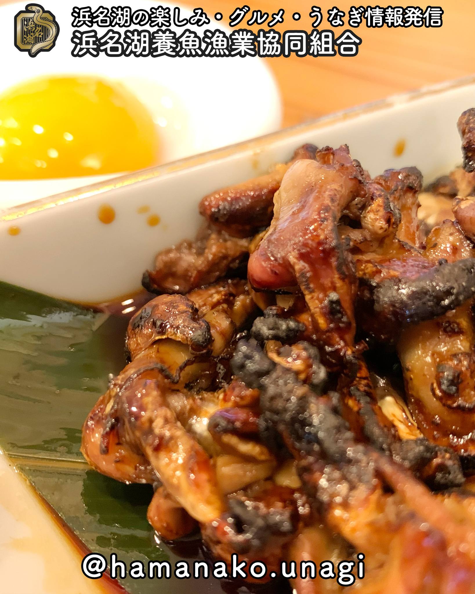 うなぎのきも焼きは好きですか？.

うなぎを食べに行ったら
ついつい頼んでしまいます！

「うなぎのきも焼き」

きもを食べた時に
口の中に広がる
こんがりとした風味と濃く
ほんのり苦味があって美味

うなぎの肝なんで
当然ながら一匹に一つしかありません。

きも焼きを頼むと
そこそこの量が出てきます。

うなぎの肝がなくなってしまわないか
いつもドキドキしていますww

そうそう
うなぎの肝は、好き嫌いありますが、
あなたはどうですか？

お店によっては、肝焼き丼っていうのも
ありますよね？？

どの地域にも熱烈な
ファンがいるんだろうなぁ

~~~~~~~~~~~~~~~⛩️~~~~
浜名湖を中心に、グルメ、文化
お店など浜名湖の観光情報を
みなさまにお届けしています。

参考になったら、
面白いなぁと感じたら

いいね！&フォローを
お願いいたします。

浜名湖養魚漁業組合
@hamanako.unagi

〜〜〜〜〜〜〜〜〜〜〜〜〜

#浜名湖養魚漁業組合
#浜名湖うなぎ 
#うなぎの肝
#うなぎのきも焼き 
#うなぎ料理