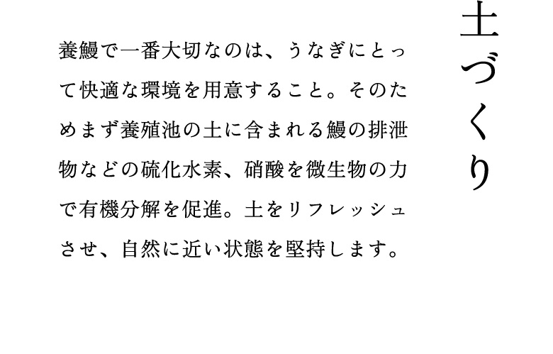 土づくり：養鰻で一番大切なのは、うなぎにとって快適な環境を用意すること。そのためまず養殖池の土に含まれる鰻の排泄物などの硫化水素、硝酸を微生物の力で有機分解を促進。土をリフレッシュさせ、自然に近い状態を堅持します。