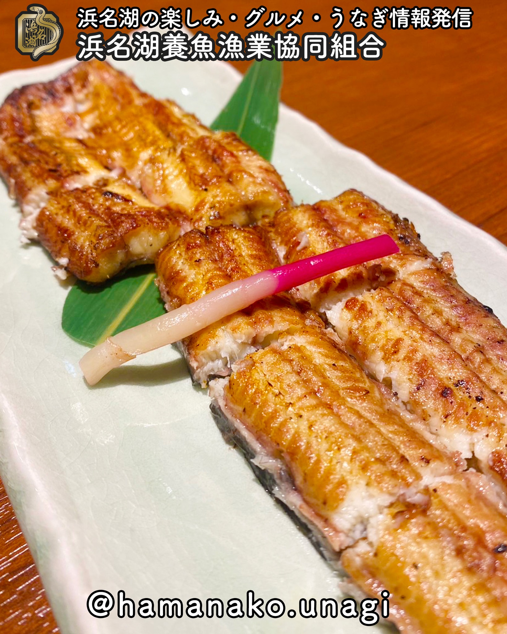 こんがりうなぎの白焼きをおつまみに.

晩酌のつまみにできたら
最高ですよね！

蒲焼きでももちろん美味しいけど
白焼きもやっぱり美味しい

自宅で焼こうとすると
なかなかいい具合に焼けないですよね？

お店の味も
もちろんいいんだけど
自宅で、自分用の味付けで
食べるうなぎも最高じゃないですか？

~~~~~~~~~~~~~~~⛩️~~~~
浜名湖を中心に、グルメ、文化
お店など浜名湖の観光情報を
みなさまにお届けしています。

参考になったら、
面白いなぁと感じたら

いいね！&フォローを
お願いいたします。

浜名湖養魚漁業組合
@hamanako.unagi

〜〜〜〜〜〜〜〜〜〜〜〜〜

#浜名湖養魚漁業組合
#浜名湖観光
#浜松観光
#浜松グルメ
#遠州グルメ
#浜名湖グルメ 
#うなぎの蒲焼き
#うなぎの白焼き