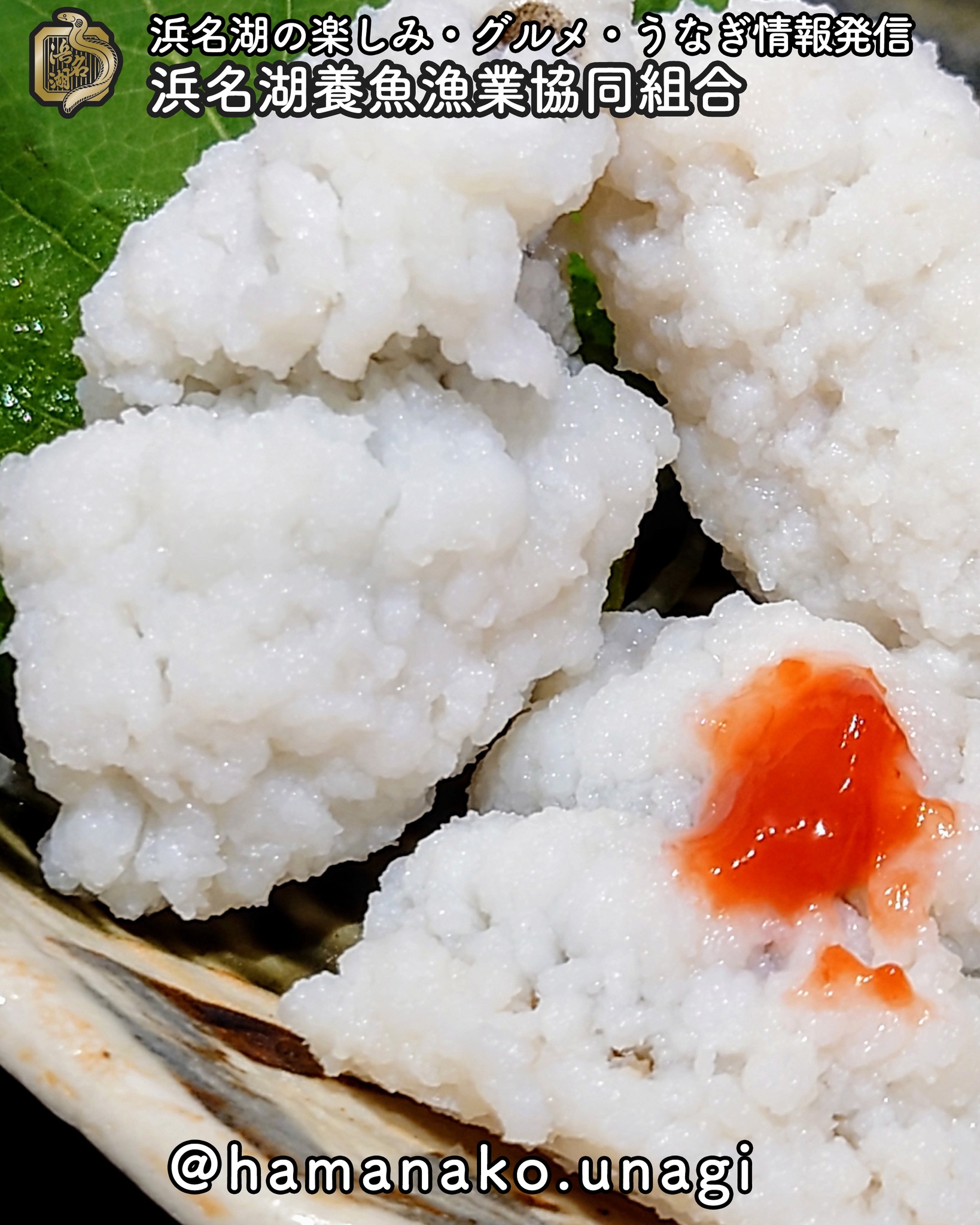 浜名湖旬な食材「ハモ」
４〜９月

浜松ってあんまりハモは
聞き馴染みがないけど
舞阪港では結構な量があがっています。

関西に出荷するほど
『夏のハモ』が名物になりつつあるそうです。

ハモって言ったら
湯引きして梅肉を添えて
食べるぐらいかな？

他には、どんな料理が美味しいのかな？

~~~~~~~~~~~~~~~⛩️~~~~
浜名湖を中心に、グルメ、文化
お店など浜名湖の観光情報を
みなさまにお届けしています。

参考になったら、
面白いなぁと感じたら

いいね！&フォローを
お願いいたします。

浜名湖養魚漁業組合
@hamanako.unagi

〜〜〜〜〜〜〜〜〜〜〜〜〜

#浜名湖養魚漁業組合
#浜名湖観光
#浜松観光
#浜松グルメ
#遠州グルメ
#浜名湖グルメ
#浜名湖の旬の味 
#ハモ 
#夏のハモ 
#遠州灘グルメ