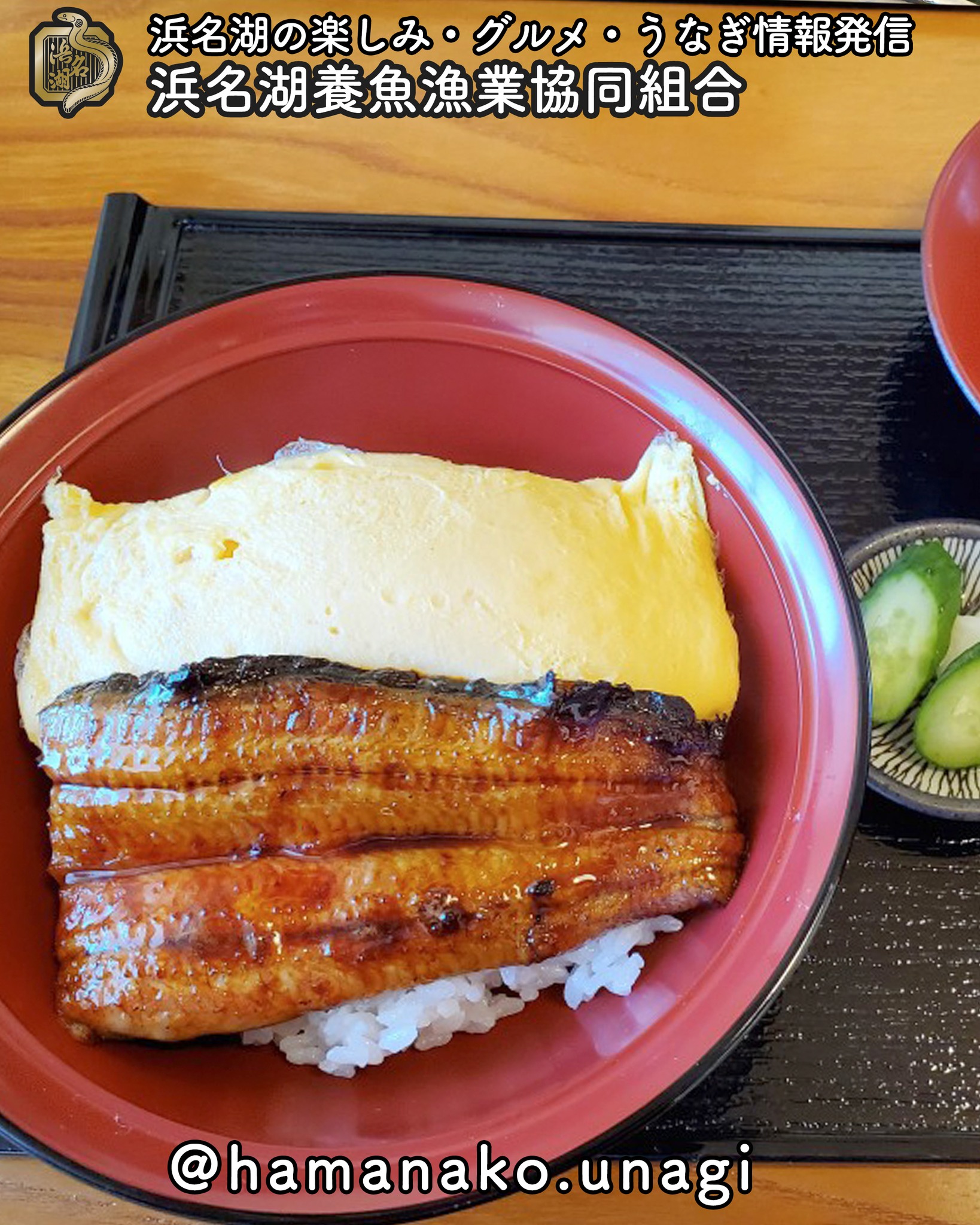 ちょっと特徴的なうな重。.

どこのお店かわかっちゃうかな？

むかしから「うまき」があるから
卵とうなぎって相性がいいのかな？

・・・ということで調べてみました

卵にはうなぎと同じビタミンBが含まれていて
夏バテを防止に効果的です。

そして、うなぎには含まれていない
ビタミンKも含まれています。

ビタミンKは血液を凝固したり
カルシウムの吸収を促す効果があります。

一緒に食べる効果がありそうですね！

さらに、うなぎと相性の良い
食材を探してみたら、
こんなものがありました。

●きゅうり
●豆腐
●山椒
●わさび

他にもこんな食材と食べ合わせがいいよ！
って言う豆知識があったら
教えてくださいね

~~~~~~~~~~~~~~~⛩️~~~~
浜名湖を中心に、グルメ、文化
お店など浜名湖の観光情報を
みなさまにお届けしています。

参考になったら、
面白いなぁと感じたら

いいね！&フォローを
お願いいたします。

浜名湖養魚漁業組合
@hamanako.unagi

〜〜〜〜〜〜〜〜〜〜〜〜〜

#浜名湖養魚漁業組合
#浜名湖観光
#浜松観光
#浜松グルメ
#遠州グルメ
#浜名湖グルメ 
#鰻丼
#うなぎと相性の良い食材