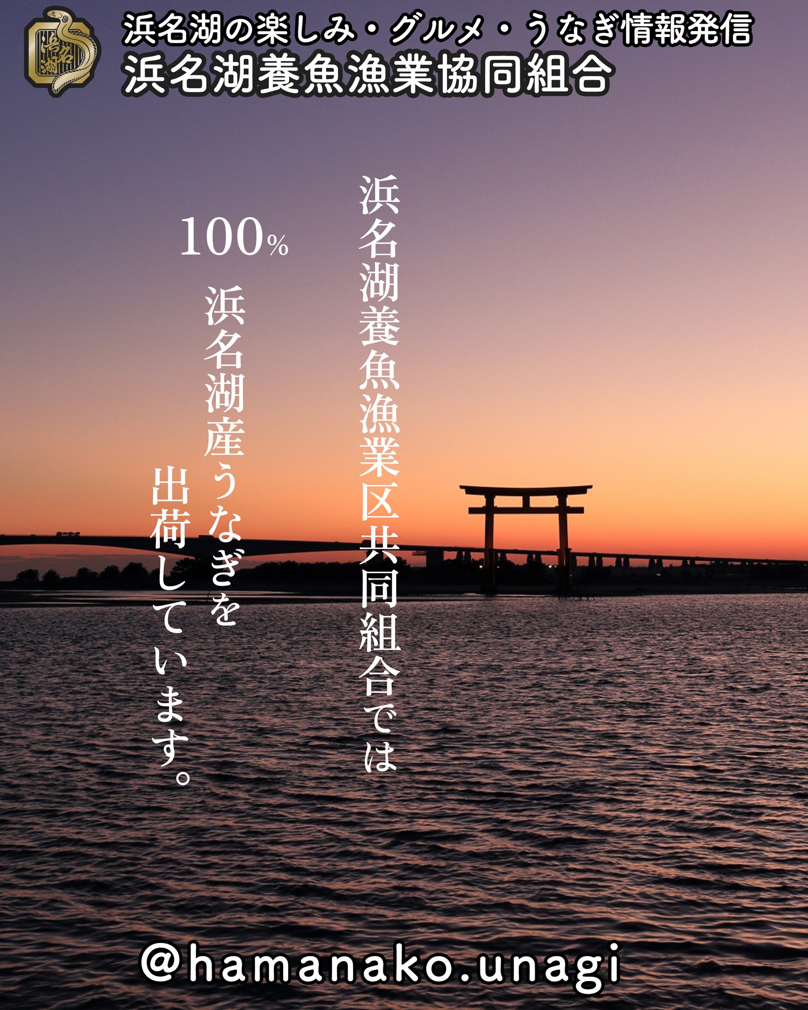 浜名湖養魚漁業協同組合では
出荷するうなぎすべてが

「浜名湖産うなぎ」

です.

浜名湖うなぎは出荷量が減っており
出荷量に限りがあります。

しかし

当組合では、すべて浜名湖産うなぎだけを
加工し出荷しております。

希少になりつつある
浜名湖うなぎ。

ご自宅でご賞味ください。

~~~~~~~~~~~~~~⛩️~~~~
浜名湖を中心に、グルメ、文化
お店など浜名湖の観光情報を
みなさまにお届けしています。

参考になったら、
面白いなぁと感じたら

いいね！&フォローを
お願いいたします。

浜名湖養魚漁業組合
@hamanako.unagi

〜〜〜〜〜〜〜〜〜〜〜〜〜

#浜名湖うなぎ
#浜名湖グルメ
#うなぎ好き
#国産うなぎ
#本物の味
#静岡グルメ
#浜名湖観光
#おうちで贅沢
#UnagiLover
#TasteJapan