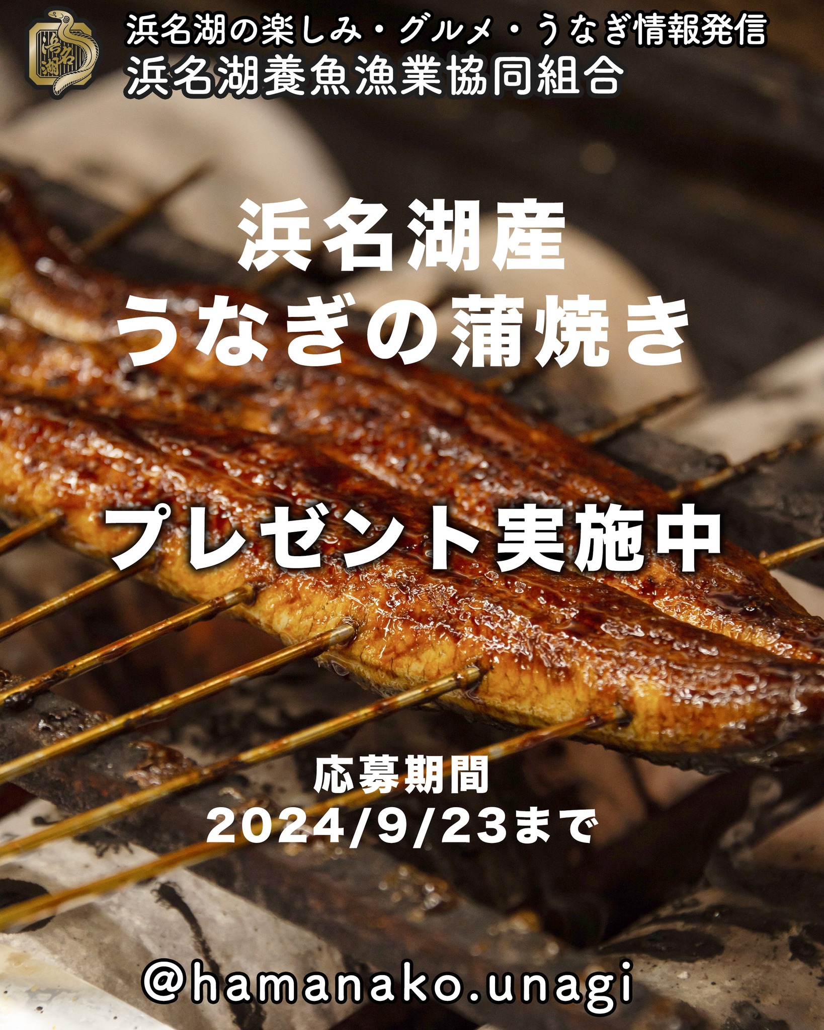 浜名湖産うなぎの蒲焼きプレゼント！.

長蒲焼２枚入り（6,000円相当）を３名様に。

生産者が手間暇かけて育てた
浜名湖うなぎを秘伝のタレで
香ばしく焼き上げました。

蒸してから蒲焼にしていますので
ふっくら・柔らか。

温めるだけで
本格蒲焼がお楽しみいただけます。

プレゼント応募は、プロフィールのリンクから。

すでに過去に応募していただいた方は
常に当選のチャンスがあります！

お楽しみに！

~~~~~~~~~~~~~~⛩️~~~~
浜名湖を中心に、グルメ、文化
お店など浜名湖の観光情報を
みなさまにお届けしています。

参考になったら、
面白いなぁと感じたら

いいね！&フォローを
お願いいたします。

浜名湖養魚漁業組合
@hamanako.unagi

〜〜〜〜〜〜〜〜〜〜〜〜〜

#浜名湖養魚漁業組合 
#浜名湖うなぎ 
#うなぎの蒲焼き
#うなぎプレゼント 
#プレゼントキャンペーン実施中 
#プレゼント企画実施中