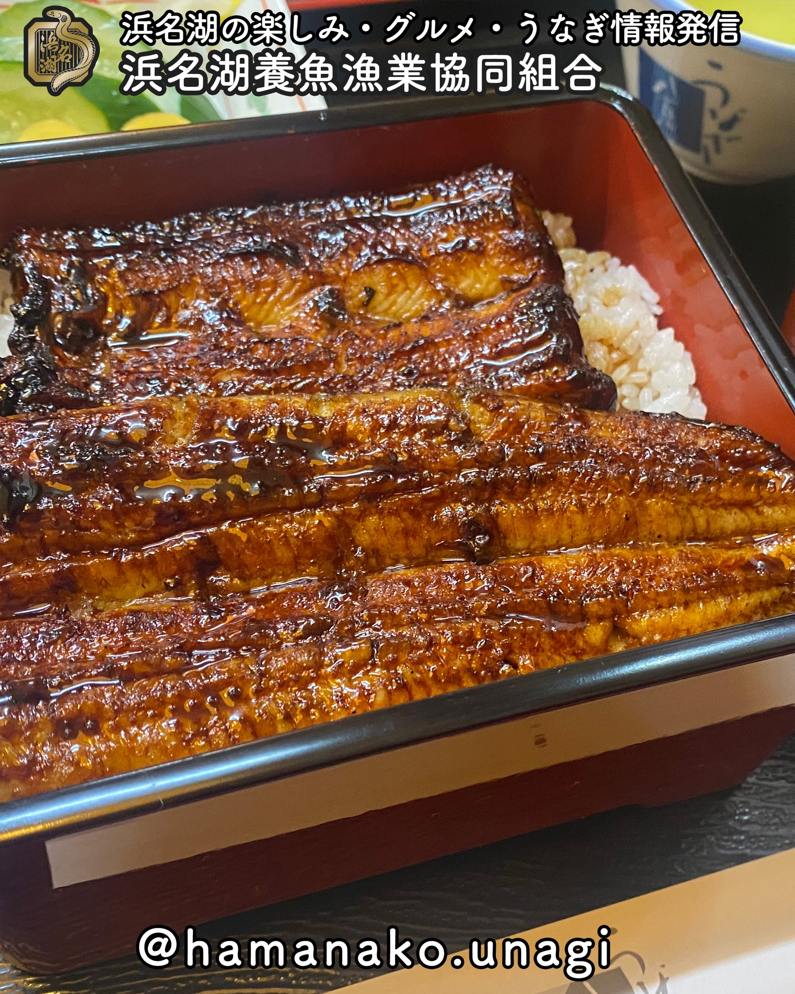 うなぎっていつから食べられているか知っている？.

なんと縄文時代に作られた貝塚から
うなぎの骨が見つかっているんだって！

約5,000年前になるみたい

でも、本格的に食べられるようになったのは
江戸時代からで
徳川家康が江戸開拓に来た頃に
沼地に住んでいた鰻を
労働者が食べたのが始まりなんだって！

そして、うな丼として
食べられるようになったのは江戸時代後期。

芝居小屋でうな丼を売り始めたのが
起源とされているようです。

今回は、ちょっとうなぎの歴史のお話でした。

たまにしか食べられなくなってしまった
鰻を食べる時の会話のネタにどうぞ😀

~~~~~~~~~~~~~~~⛩️~~~~
浜名湖を中心に、グルメ、文化
お店など浜名湖の観光情報を
みなさまにお届けしています。

参考になったら、
面白いなぁと感じたら

いいね！&フォローを
お願いいたします。

浜名湖養魚漁業組合
@hamanako.unagi

〜〜〜〜〜〜〜〜〜〜〜〜〜

#浜名湖養魚漁業組合
#浜名湖観光
#浜松観光
#浜松グルメ
#遠州グルメ
#浜名湖グルメ 
#うなぎの歴史 
#鰻丼の歴史