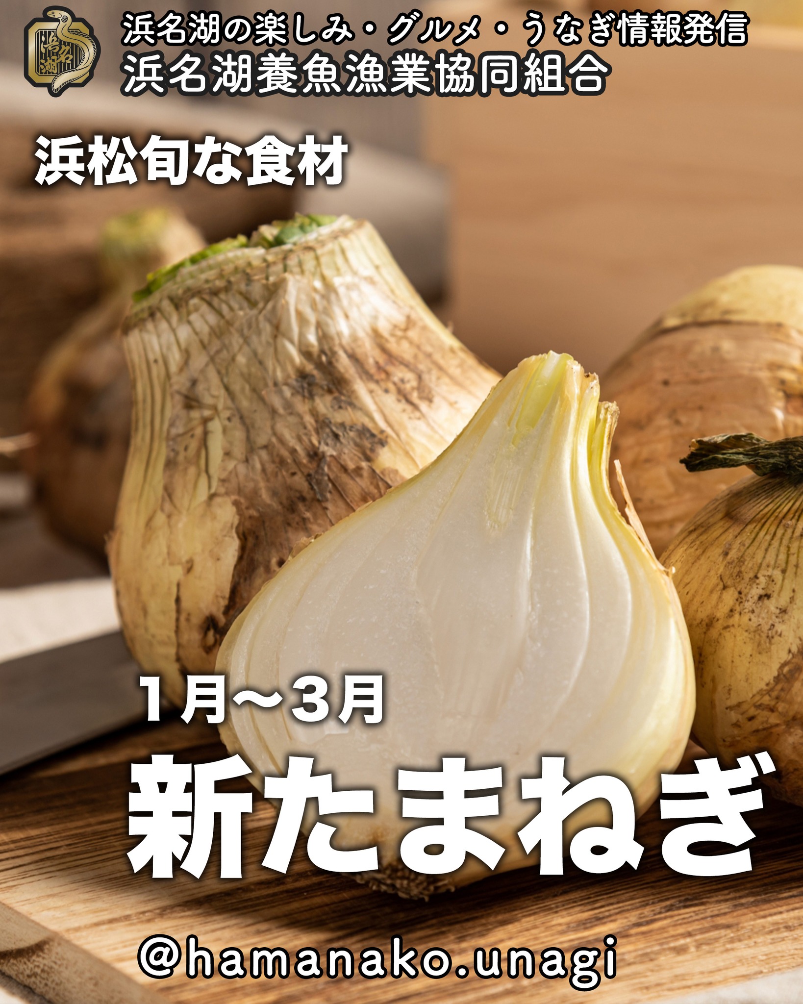 浜松産の新玉ねぎ、もう食べた？.

 日本一早い新玉ねぎの産地・浜松市 

浜松市では 1月〜3月 にかけて
全国に先駆けて 新玉ねぎ を出荷！

温暖な気候と砂地の恵みを活かした 
甘くてみずみずしい 新玉ねぎが自慢です

🥗 新玉ねぎの美味しい食べ方 🥗

 スライスしてサラダに → シャキシャキ食感＆甘みが最高
 グリルして丸ごと焼き玉ねぎ → トロトロ食感に！
 オニオンスープ → 浜松の寒い朝にぴったり🫕

＼ あなたはどの食べ方が好き？  コメントで教えてね！／

 「食べてみたい！」と思ったら
「🧅」をコメント！

~~~~~~~~~~~~~~⛩️~~~~
浜名湖を中心に、グルメ、文化
お店など浜名湖の観光情報を
みなさまにお届けしています。

参考になったら、
面白いなぁと感じたら

いいね！&フォローを
お願いいたします。

浜名湖養魚漁業組合
@hamanako.unagi

〜〜〜〜〜〜〜〜〜〜〜〜〜

#浜松新玉ねぎ #新玉ねぎ #静岡グルメ #浜松グルメ #旬の味覚 #地産地消 #サラダ好き #オニオンスープ #甘くて美味しい #食べて応援 #農家直送 #japanesefood #tastejapan