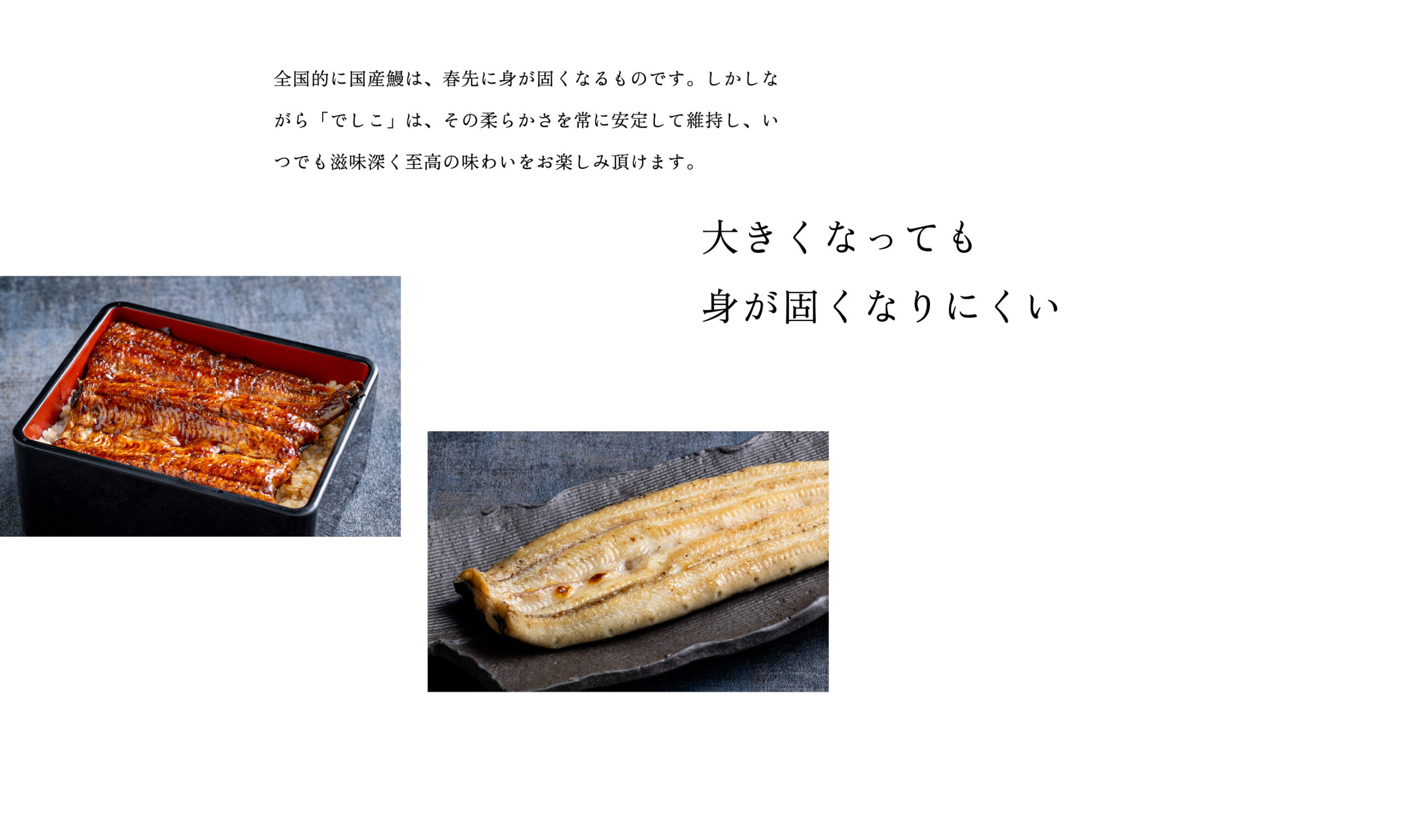 全国的に国産鰻は、春先に身が固くなるものです。しかしながら「でしこ」は、その柔らかさを常に安定して維持し、いつでも滋味深く至高の味わいをお楽しみ頂けます。大きくなっても身が固くなりにくい