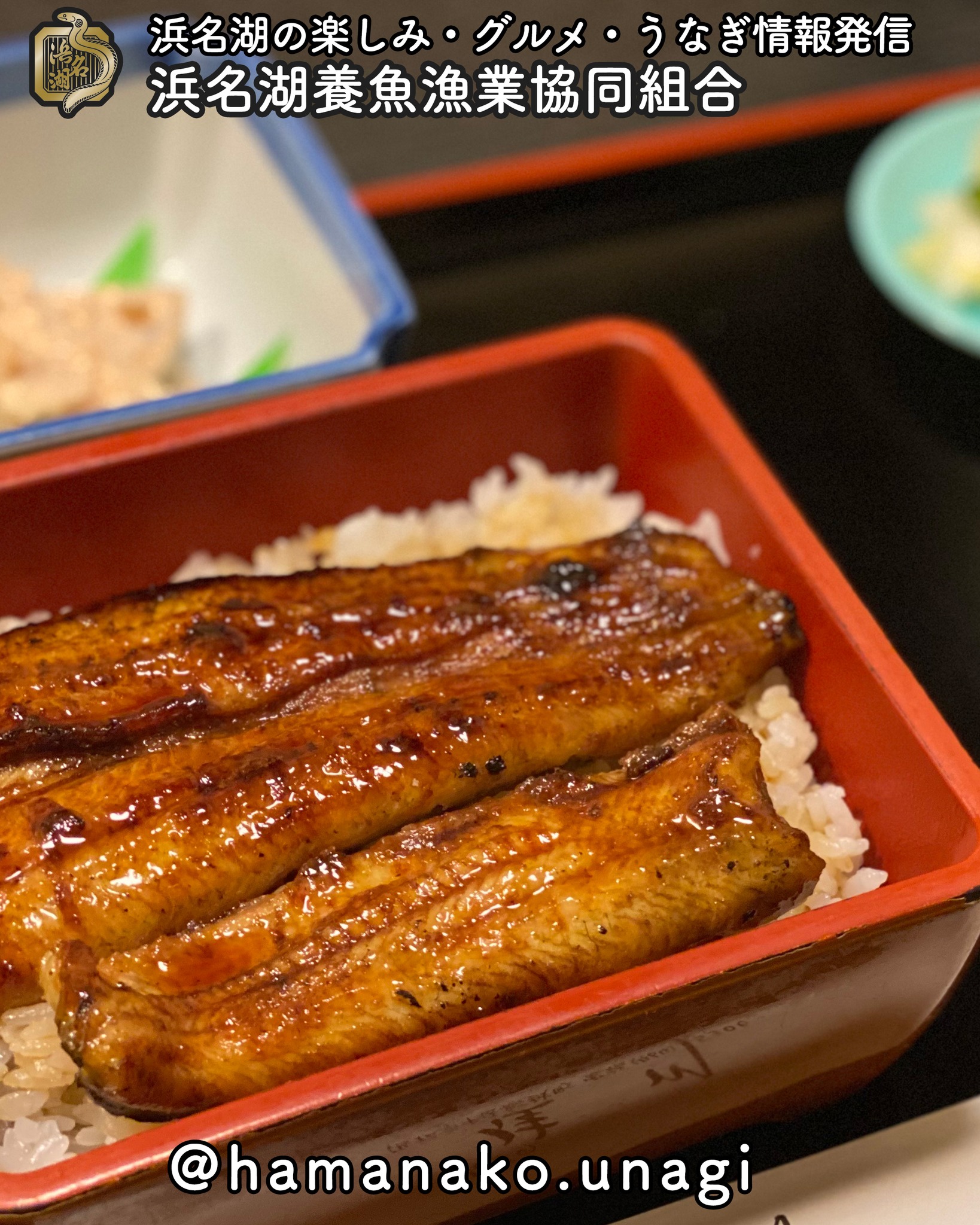 あなたは鰻重と鰻丼とどっちが好き？.

インスタで上がっている写真をみると
やっぱり、鰻重が多いのかなぁ😀

あとあと

うなぎがびっしり引き詰められているのと

程よいうなぎと、たくさんのご飯！
うなぎでご飯をもりもりたべるのと

どっちが好きかな？

ぜひ、あなたの好みもコメントで教えてね😀

~~~~~~~~~~~~~~~⛩️~~~~
浜名湖を中心に、グルメ、文化
お店など浜名湖の観光情報を
みなさまにお届けしています。

参考になったら、
面白いなぁと感じたら

いいね！&フォローを
お願いいたします。

浜名湖養魚漁業組合
@hamanako.unagi

〜〜〜〜〜〜〜〜〜〜〜〜〜

#浜名湖養魚漁業組合
#浜名湖観光
#浜松観光
#浜松グルメ
#遠州グルメ
#浜名湖グルメ 
#浜名湖うなぎ 
#うな重