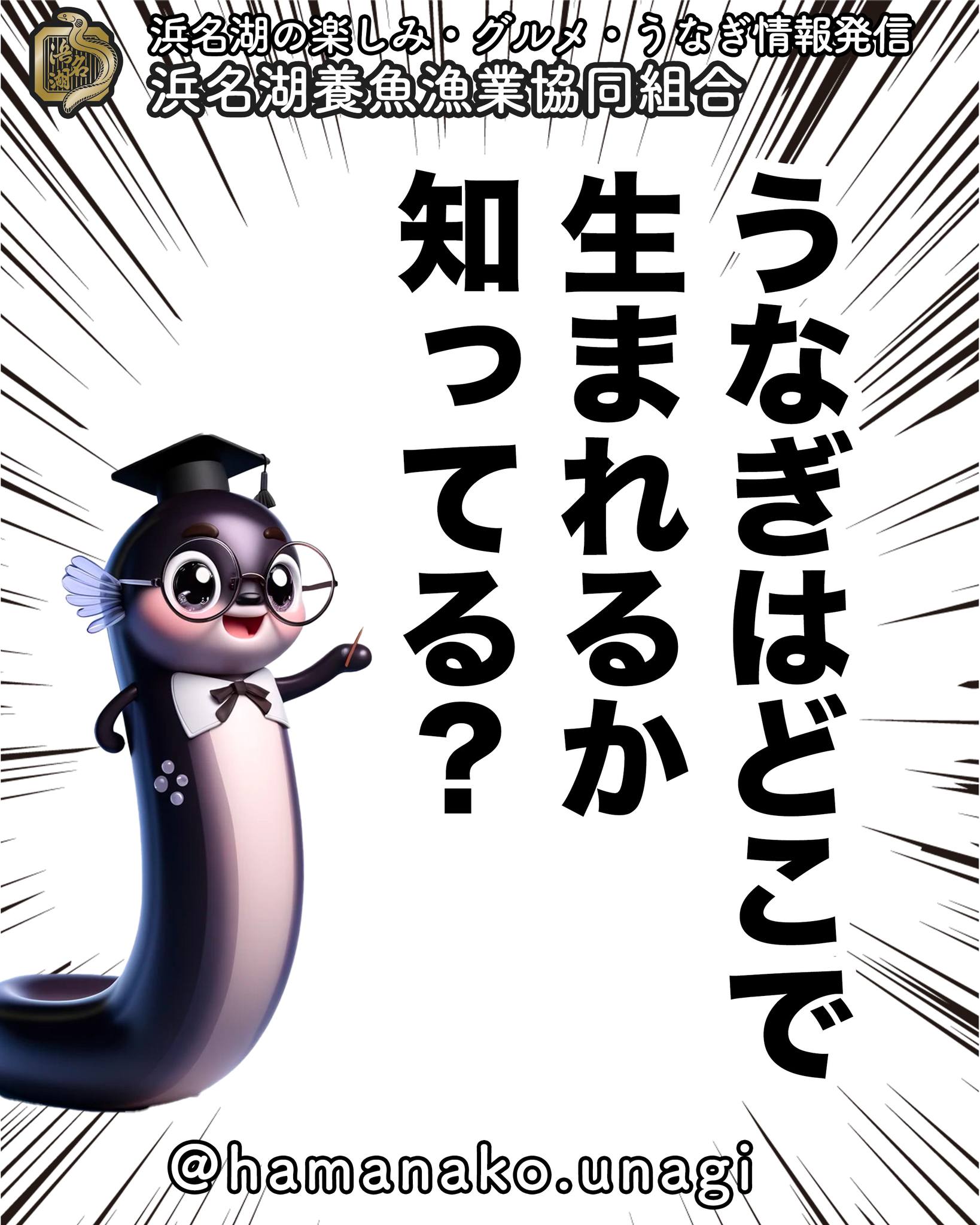 うなぎはどこで生まれるかしってる？.

答えは、、、

／
　西マリアナ海嶺
＼

と、言われています。

うなぎは一般的に
フィリピンの西に位置する
マリアナ諸島近くの「西マリアナ海嶺」
と呼ばれる深海域で
生まれるとされています。

この場所は
うなぎの産卵場として知られており
水深200～300メートルほど
の深海で卵を産むと考えられています。

その後、孵化した
うなぎの幼生（レプトセファルス）は
黒潮などの海流に乗って
日本近海まで運ばれ
成長してから川や湖に遡上します。

近年、研究が進みつつありますが
うなぎの完全な生態や
回遊ルートについては
まだ謎が多く残されています。

~~~~~~~~~~~~~~⛩️~~~~
浜名湖を中心に、グルメ、文化
お店など浜名湖の観光情報を
みなさまにお届けしています。

参考になったら、
面白いなぁと感じたら

いいね！&フォローを
お願いいたします。

浜名湖養魚漁業組合
@hamanako.unagi

〜〜〜〜〜〜〜〜〜〜〜〜〜

#浜名湖養魚漁業組合
#浜名湖うなぎ
#うなぎはどこで生まれる？
#うなぎの生態
#うなぎの豆知識