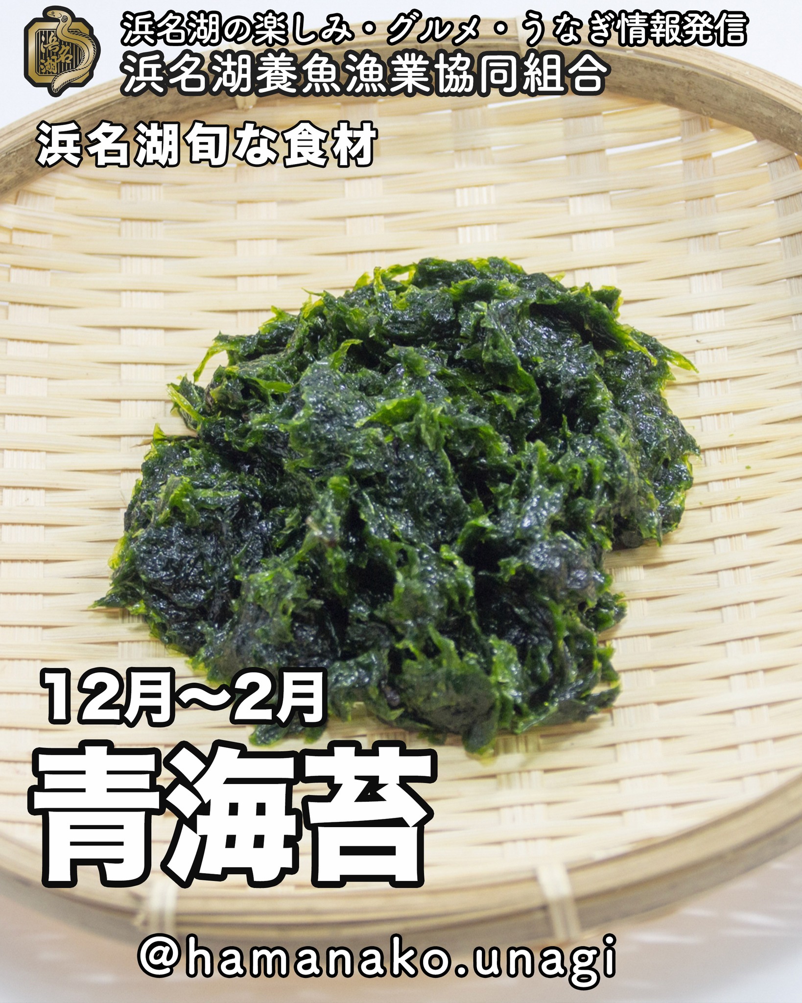 浜名湖の青のり、知ってますか？ .

実は、浜名湖は日本最古の
海苔養殖場って知ってましたか？

江戸時代から続く
200年以上もの歴史があるんそうです

浜名湖の海苔は
遠浅で潮の満ち引きがある
汽水湖という恵まれた環境で育つので
磯の香りが豊かで
深い緑色が特徴なんだそうです。

冬の寒さの真っ盛りに潮や天候を見ながら
丁寧に育てられた青海苔は、栄養満点です

βカロテンやビタミンC、カルシウム、鉄分など
体に嬉しい成分がたっぷり含まれています

浜名湖の青海苔、ぜひ試してみてね！

しかも低カロリーなので
ダイエット中の方にもオススメです

浜名湖の青海苔、ぜひ試してみてください。

~~~~~~~~~~~~~~~⛩️~~~~
浜名湖を中心に、グルメ、文化
お店など浜名湖の観光情報を
みなさまにお届けしています。

参考になったら、
面白いなぁと感じたら

いいね！&フォローを
お願いいたします。

浜名湖養魚漁業組合
@hamanako.unagi

〜〜〜〜〜〜〜〜〜〜〜〜〜

#浜名湖養魚漁業組合
#浜名湖観光
#浜松観光
#浜松グルメ
#遠州グルメ
#浜名湖グルメ
#浜名湖の旬の味 
#青のり
#生のり 
#浜名湖のり 
#舞阪産の海苔