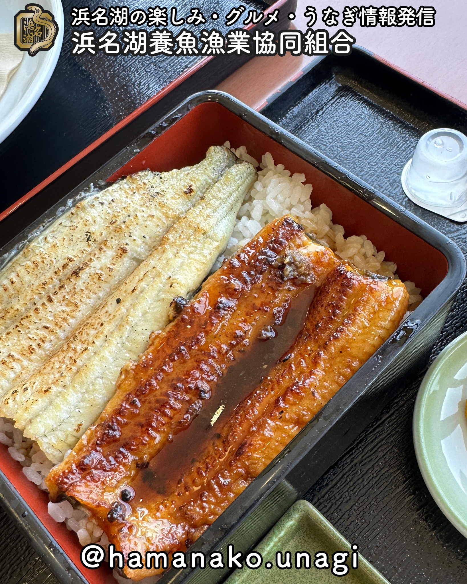 うなぎの蒲焼き・白焼き重をみっけた！.

これ、贅沢ですよね！
ひとつのお重で

白焼きも！蒲焼きも！

楽しめちゃう

これは浜松じゃないんだけど
東名高速道路富士川SA
富士川楽座で見つけました！

気になる方は、
お出かけの際に立ち寄ってみて

~~~~~~~~~~~~~~⛩️~~~~
浜名湖を中心に、グルメ、文化
お店など浜名湖の観光情報を
みなさまにお届けしています。

参考になったら、
面白いなぁと感じたら

いいね！&フォローを
お願いいたします。

浜名湖養魚漁業組合
@hamanako.unagi

〜〜〜〜〜〜〜〜〜〜〜〜〜

#浜名湖養魚漁業組合
#うな重 
#うなぎの白焼き 
#うなぎの蒲焼き 
#うなぎの蒲焼きと白焼き