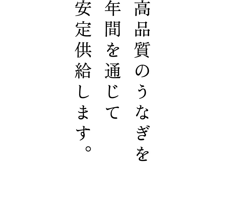 高品質のうなぎを年間を通じて
安定供給します。