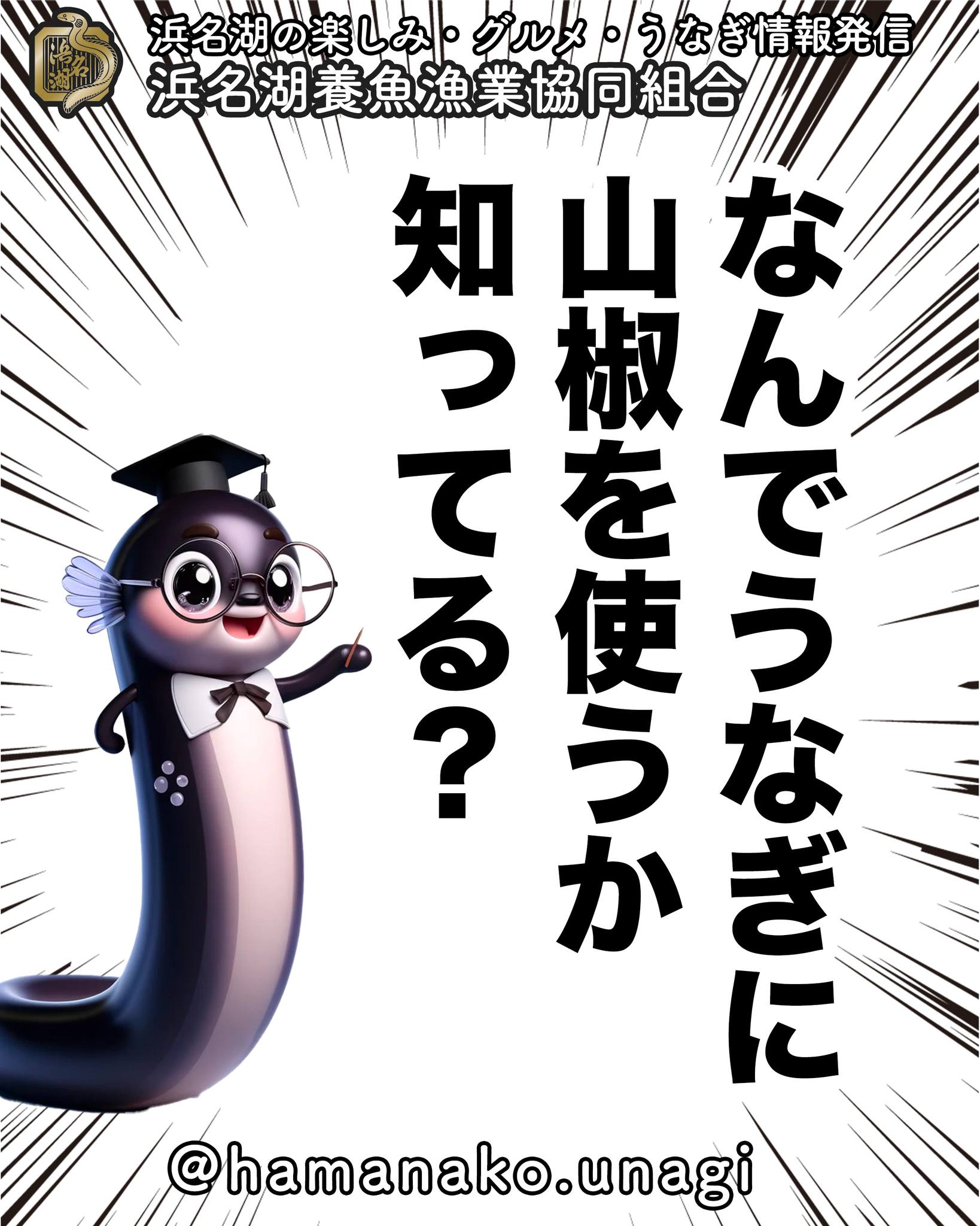 実は健康的な理由もあった「山椒を使う理由」.

みなさん！
なんで、鰻を食べる時に
山椒を使うか知ってますか？

山椒はわさびなどと並ぶ
代表的な和風スパイスで
若葉は「木の芽」と呼ばれています。

すまし汁の吸い口にしたり
木の芽でんがくなどに用いられます。

熟した実を干してすった粉山椒は
七味唐辛子の一味となり
その独特の香りによって
うなぎの蒲焼の味を
引き立たせる役目をしています。

江戸時代には・・・

醤油や味醂のタレを使う蒲焼が流行する前に
山椒しょうゆや山椒みそでうなぎを
つけ焼きしていました。

これは、風味を楽しむためだけでなく
毒消しのためでもあったようです。

しかし、山椒の香りが
うなぎに非常によく合うため
蒲焼のタレにも山椒が使われるようになり

「うなぎ＝山椒」

という組み合わせが定着したのです。

さらに！

山椒には胃酸のPH値を下げる働きがあり
うなぎの消化を助ける効果もあります。

だから、うなぎに山椒を使うのです。

どう？

健康的にも理にかなっているんだよ！

うなぎの蒲焼をたべるときは
風味アップだけではなく
健康に気をつけるためにも
山椒をつかってみてくださいね

~~~~~~~~~~~~~~~⛩️~~~~
浜名湖を中心に、グルメ、文化
お店など浜名湖の観光情報を
みなさまにお届けしています。

参考になったら、
面白いなぁと感じたら

いいね！&フォローを
お願いいたします。

浜名湖養魚漁業組合
@hamanako.unagi

〜〜〜〜〜〜〜〜〜〜〜〜〜

#浜名湖養魚漁業組合 
#うなぎの栄養 
#浜名湖うなぎ
#うな重 
#浜名湖特産