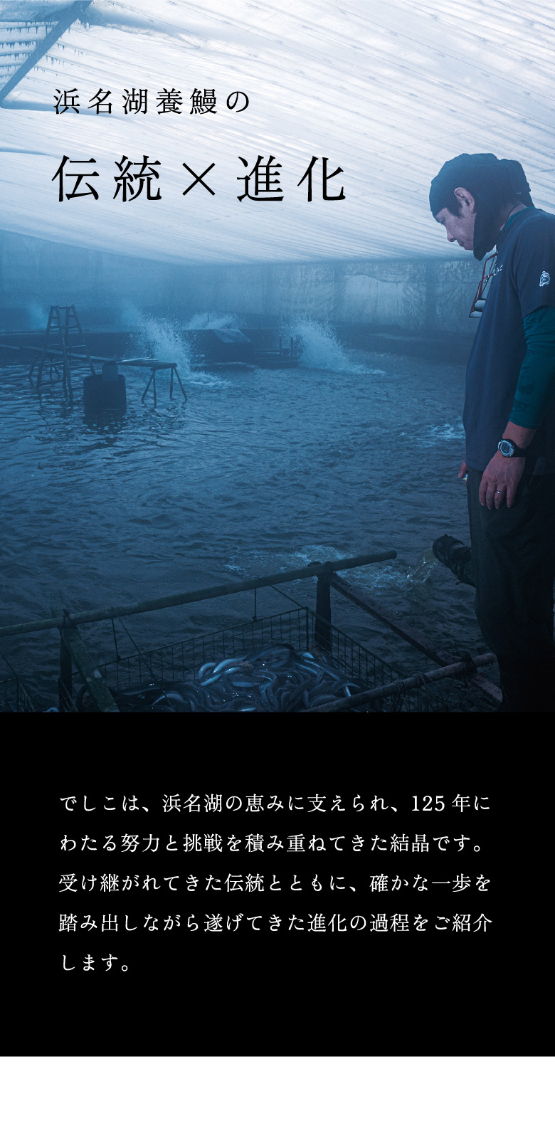 浜名湖養鰻の伝統×進化。でしこは、浜名湖の恵みに支えられ、125年にわたる努力と挑戦を積み重ねてきた結晶です。受け継がれてきた伝統とともに、確かな一歩ずつを踏み出しながら遂げてきた進化の過程をご紹介します。