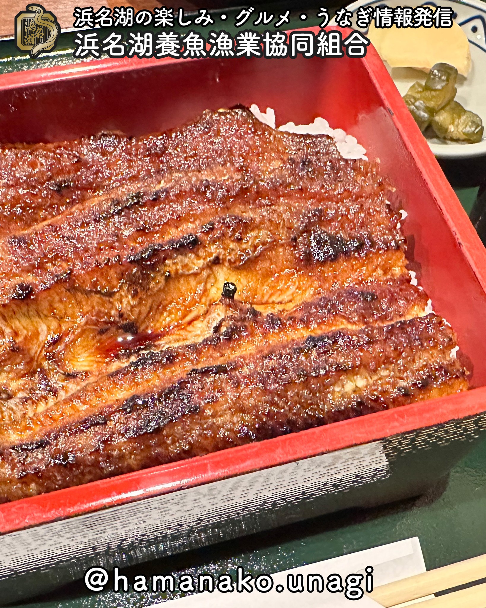 うなぎってどんな時に食べる？.

昔は鰻丼一杯1000円なんて
時代もあったけど
今は、なかなかのお値段。

なかなか手が出る料理じゃ
なくなっちゃったもんね。

うな重や鰻丼
あなたはどんな時に食べますか？

ぜひぜひ
参考にお聞かせください。

ちなみに、わたしは。。。

がんばってなにやら達成できた
ご褒美にいただくことが多いです。

あ、もちろん土用の丑にもいただきます。

もう時期土用の丑ですね。

うなぎの蒲焼きのかおりが
うっすらと漂う妄想をしています

~~~~~~~~~~~~~~~⛩️~~~~
浜名湖を中心に、グルメ、文化
お店など浜名湖の観光情報を
みなさまにお届けしています。

参考になったら、
面白いなぁと感じたら

いいね！&フォローを
お願いいたします。

浜名湖養魚漁業組合
@hamanako.unagi

〜〜〜〜〜〜〜〜〜〜〜〜〜

#浜名湖養魚漁業組合 
#浜名湖観光
#浜松観光
#浜松グルメ
#遠州グルメ
#浜名湖グルメ 
#うな重
#鰻丼
#浜名湖うなぎ