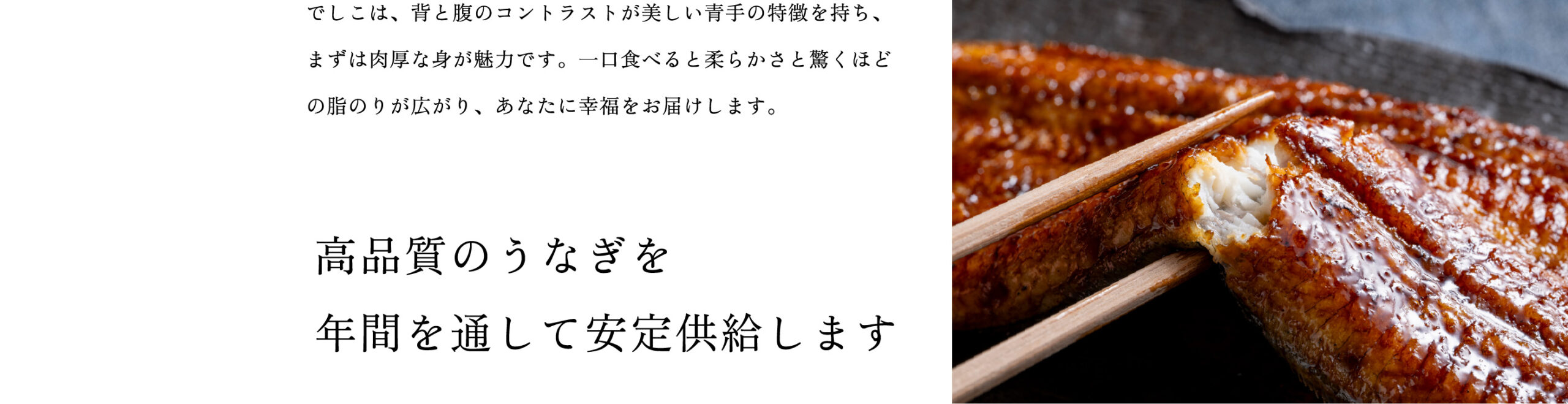 でしこは、背と腹のコントラストが美しい青手の特徴を持ち、まずは肉厚な身が魅力です。一口食べると柔らかさと驚くほどの脂のりが広がり、あなたに幸福をお届けします。高品質のうなぎを年間を通して安定供給します